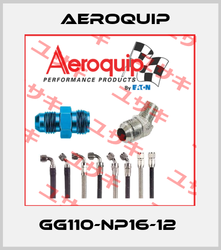 GG110-NP16-12  Aeroquip
