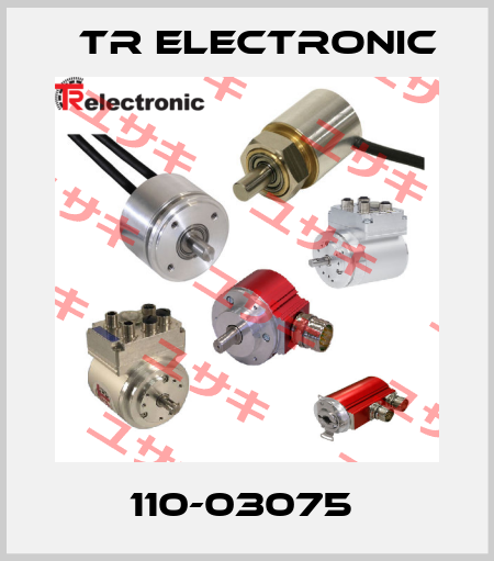 110-03075  TR Electronic