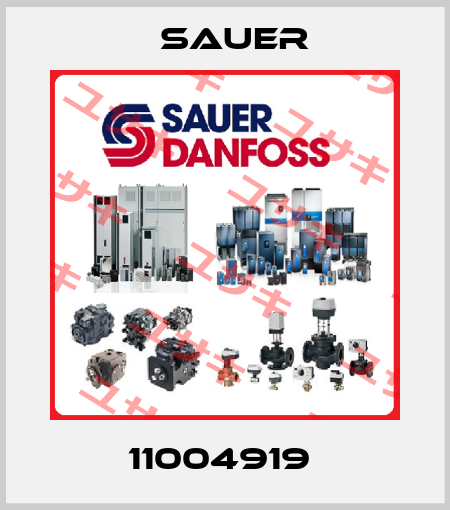 11004919  Sauer