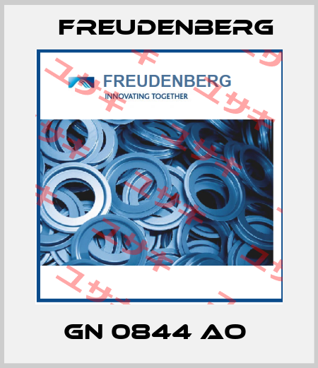 GN 0844 AO  Freudenberg