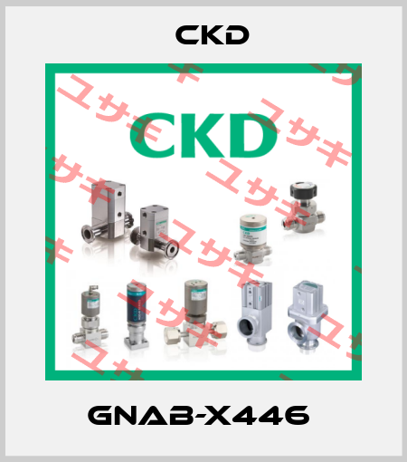 GNAB-X446  Ckd