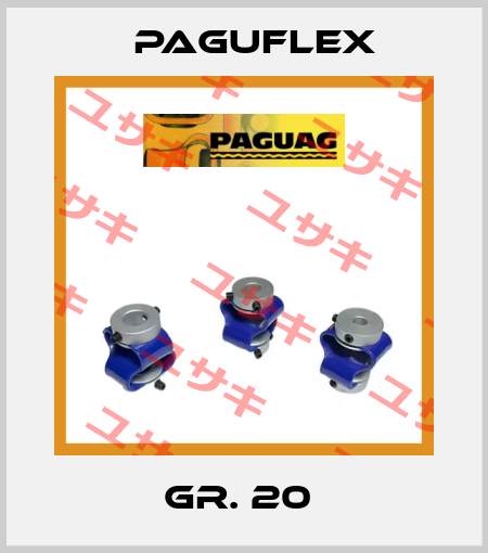 GR. 20  Paguflex