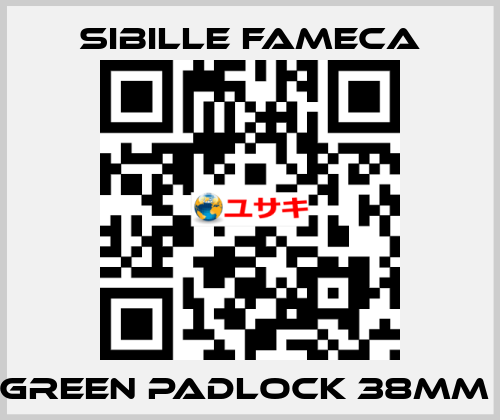 GREEN PADLOCK 38MM  Sibille Fameca