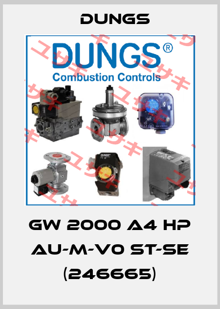 GW 2000 A4 HP AU-M-V0 ST-SE (246665) Dungs