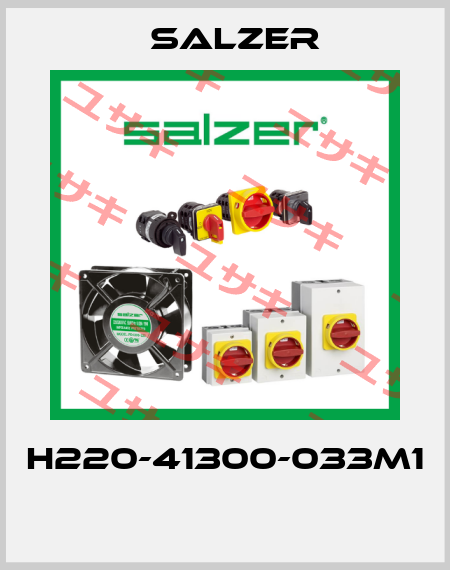 H220-41300-033M1  Salzer