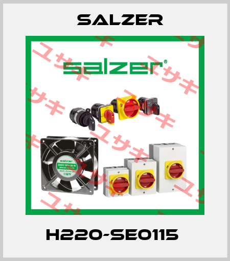 H220-SE0115  Salzer