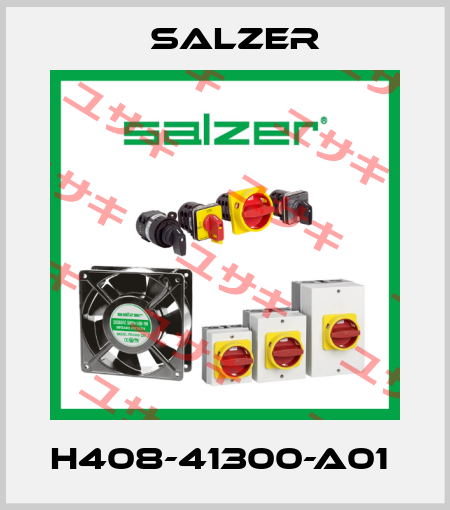 H408-41300-A01  Salzer