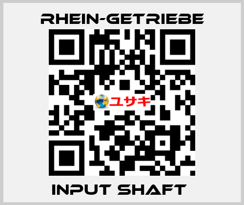 INPUT SHAFT  Rhein-Getriebe