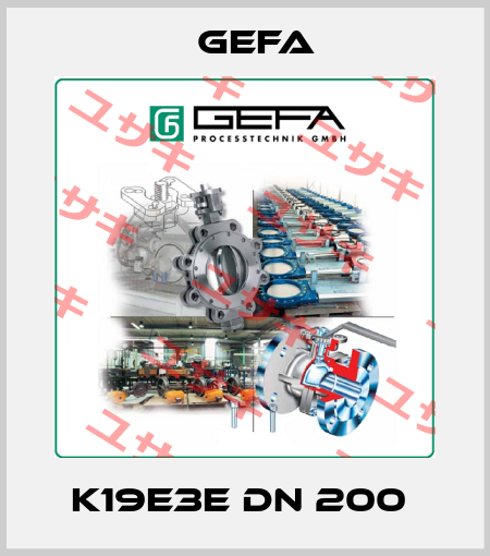 K19E3E DN 200  Gefa