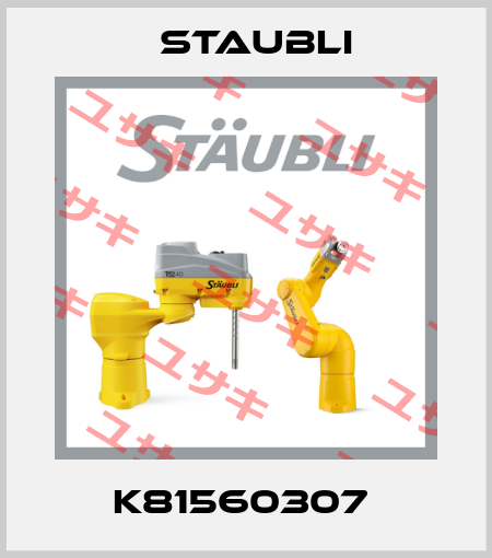 K81560307  Staubli