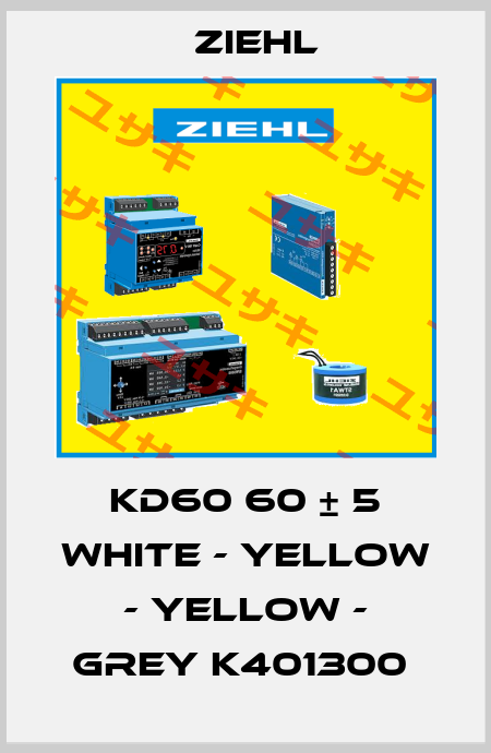 KD60 60 ± 5 WHITE - YELLOW - YELLOW - GREY K401300  Ziehl