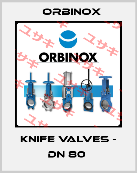 Knife Valves - DN 80  Orbinox
