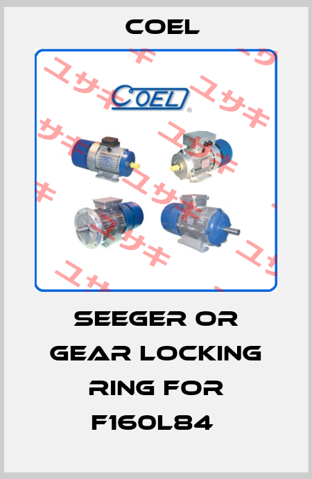 Seeger or gear locking ring for F160L84  Coel