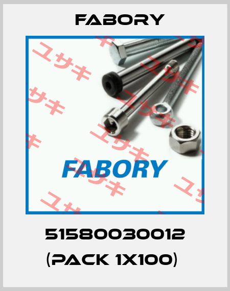 51580030012 (pack 1x100)  Fabory