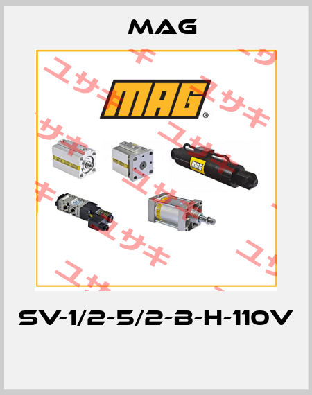 SV-1/2-5/2-B-H-110V  Mag