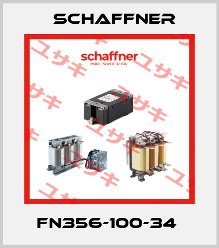 FN356-100-34  Schaffner