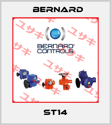 ST14 Bernard