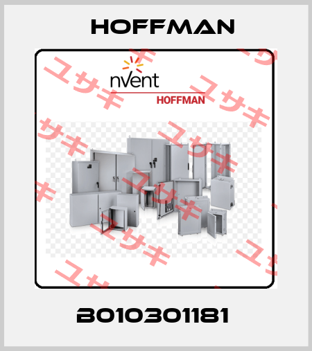 B010301181  Hoffman