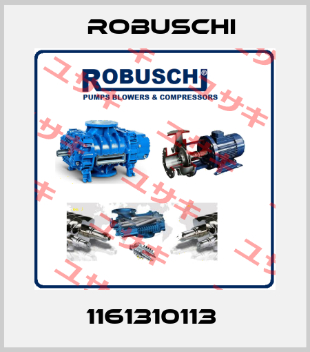1161310113  Robuschi