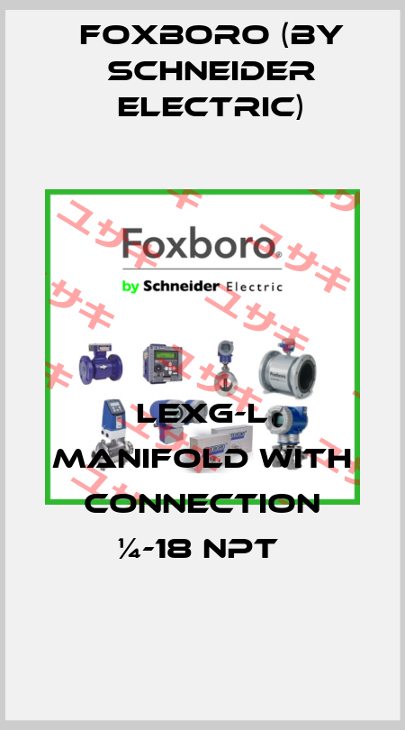 LEXG-L MANIFOLD WITH CONNECTION ¼-18 NPT  Foxboro (by Schneider Electric)
