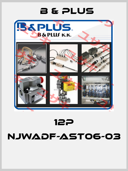 12P NJWADF-AST06-03  B & PLUS