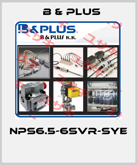 NPS6.5-6SVR-SYE  B & PLUS