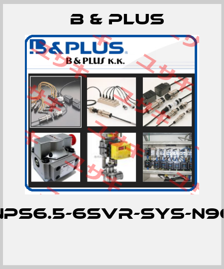 NPS6.5-6SVR-SYS-N96  B & PLUS