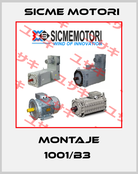 MONTAJE 1001/B3  Sicme Motori