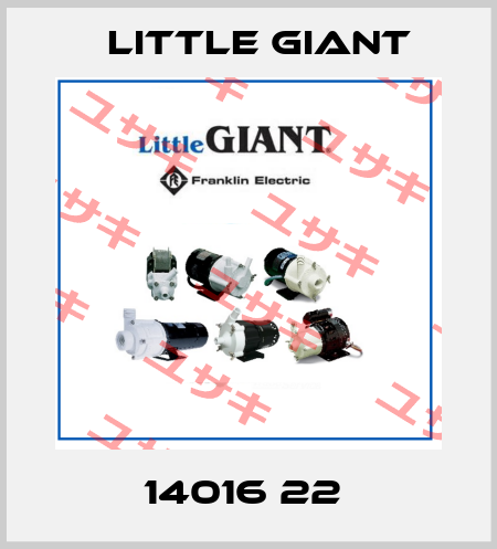 14016 22  Little Giant