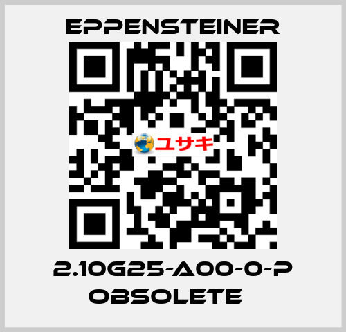 2.10G25-A00-0-P obsolete   Eppensteiner