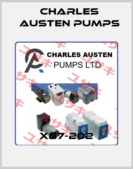 X87-202 Charles Austen Pumps