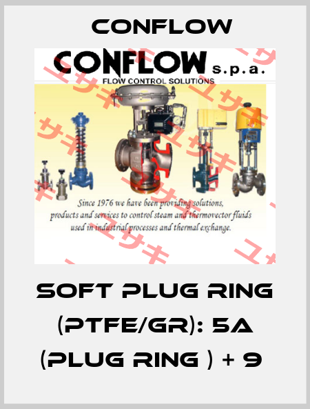 SOFT PLUG RING (PTFE/GR): 5a (PLUG RING ) + 9  CONFLOW