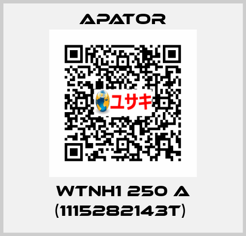 WTNH1 250 A (1115282143T)  Apator