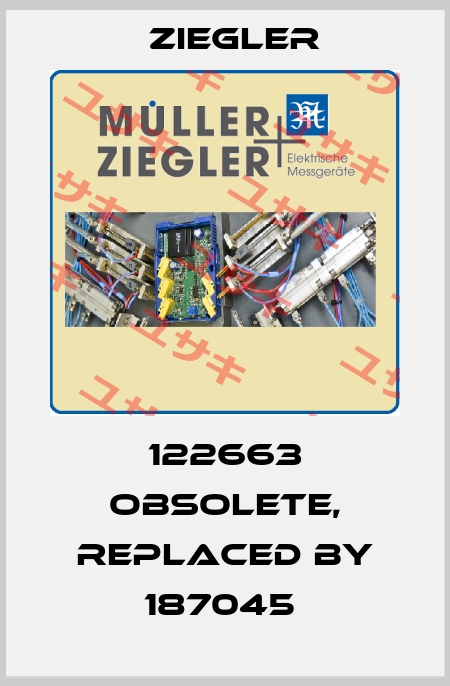 122663 obsolete, replaced by 187045  Ziegler