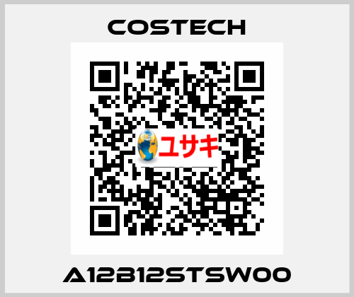 A12B12STSW00 Costech