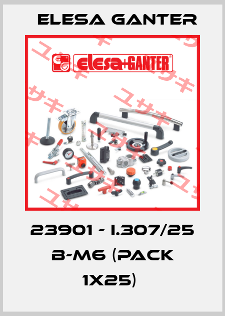 23901 - I.307/25 B-M6 (pack 1x25)  Elesa Ganter