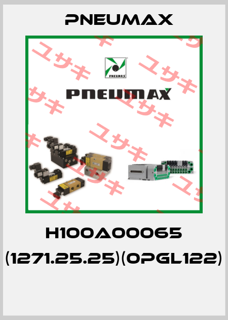 H100A00065 (1271.25.25)(0PGL122)  Pneumax