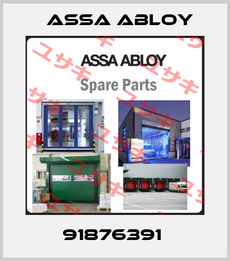91876391  Assa Abloy
