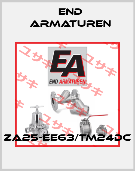 ZA25-EE63/TM24DC End Armaturen