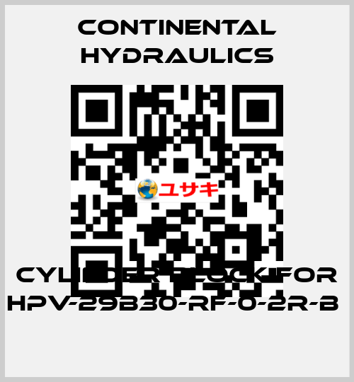 cylinder block for HPV-29B30-RF-0-2R-B  Continental Hydraulics
