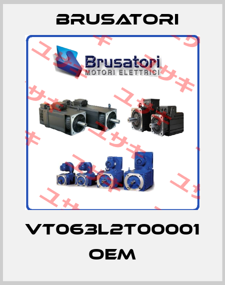 VT063L2T00001 OEM Brusatori