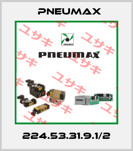 224.53.31.9.1/2 Pneumax