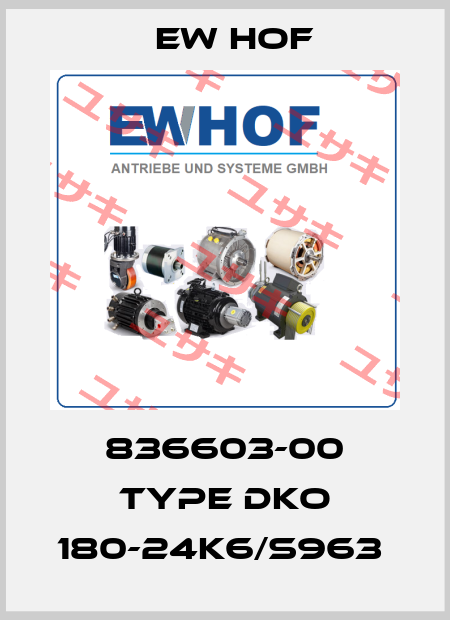 836603-00 Type DKO 180-24K6/S963  Ew Hof