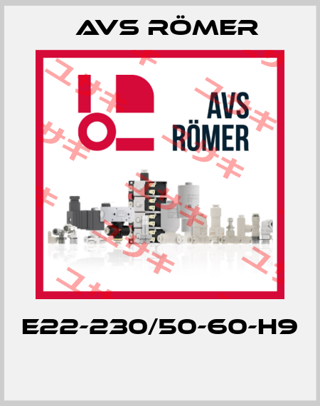 E22-230/50-60-H9  Avs Römer