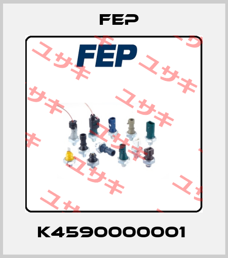 K4590000001  Fep