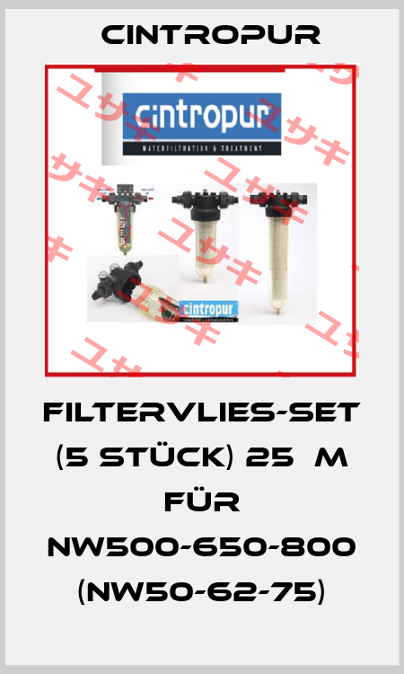 Filtervlies-Set (5 Stück) 25µm für NW500-650-800 (NW50-62-75) Cintropur