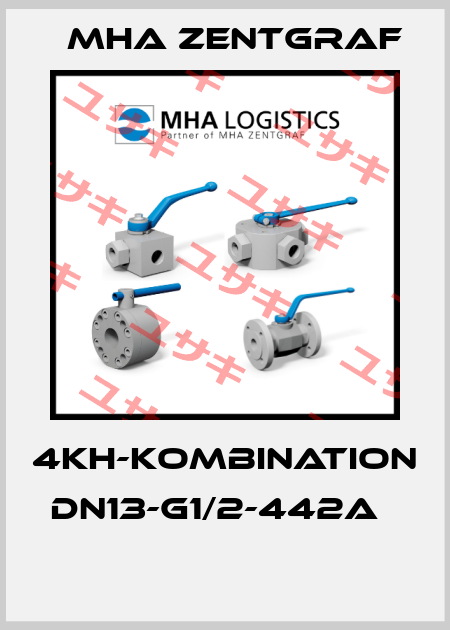 4KH-Kombination DN13-G1/2-442A	  Mha Zentgraf