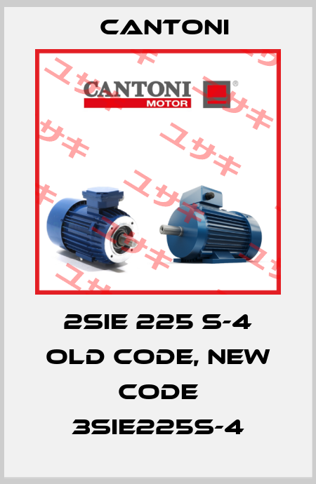 2SIE 225 S-4 old code, new code 3SIE225S-4 Cantoni