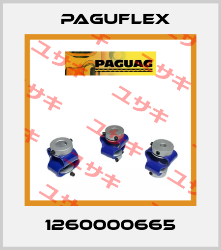 1260000665 Paguflex