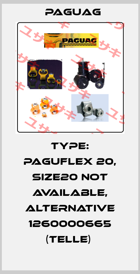 Type: PAGUFLEX 20, size20 not available, alternative 1260000665 (Telle)  Paguag